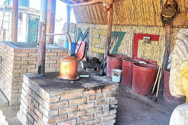 Puerto Escondido: Mezcal, Coffee, and Pedal Loom Factory - Ice Cream Break