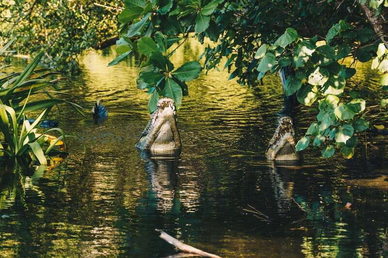 Puerto Escondido: Oaxaca Coast Wildlife Ecotour - Overall Impressions and Value