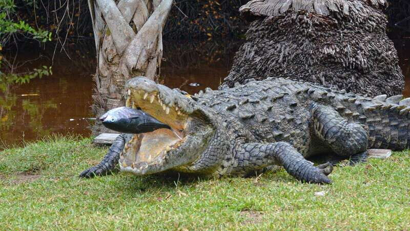 Puerto Escondido: Oaxaca Coast Wildlife Ecotour - Final Thoughts