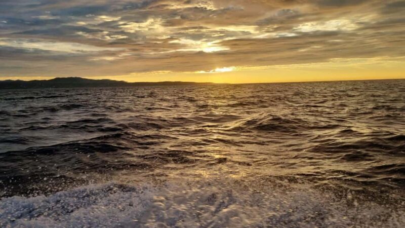 Puerto Escondido: The Best Adventure for Dolphin Watching - Key Points