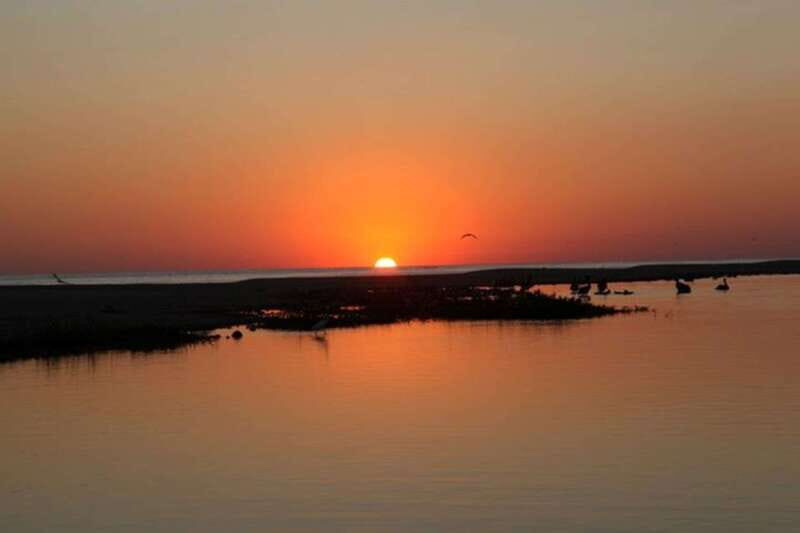 Puerto Escondido: Turtle Release and Bioluminescent Plankton - Who Should Consider This Tour?