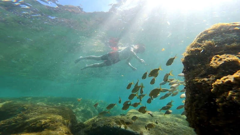 Puerto Mogán: Guided Adventure Kayak Tour in Caves & Snorkel - What Makes This Tour Special?