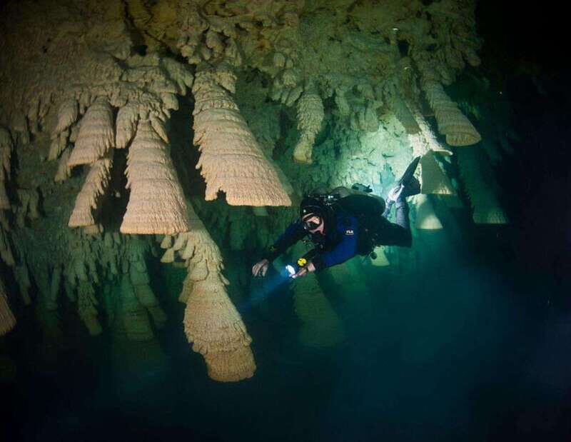 Puerto Morelo: Cenote Diving - The Experience Provider: Mexplor