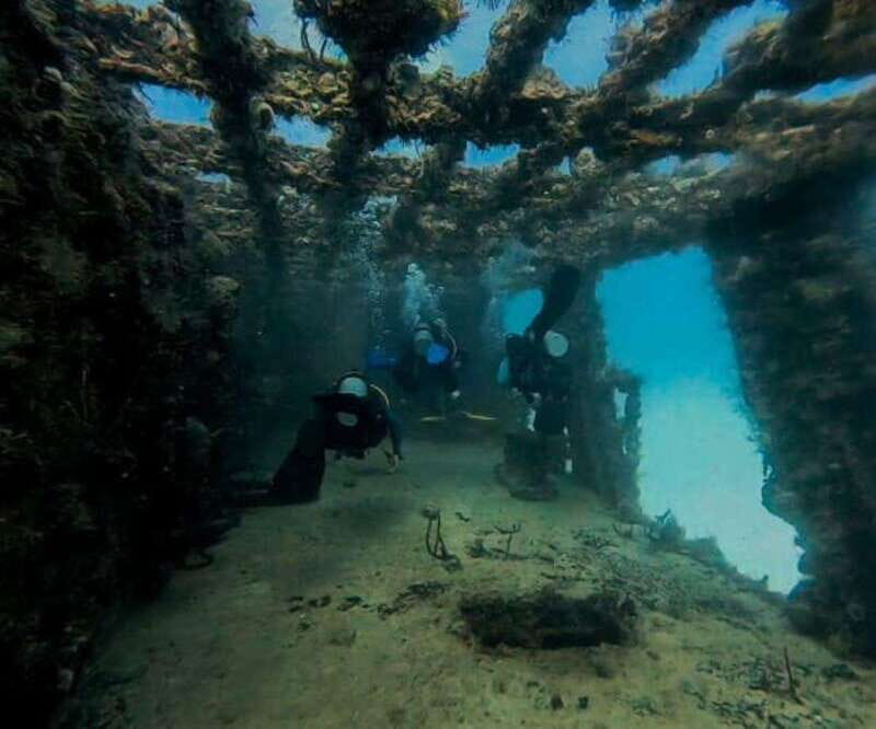 Puerto Morelos: C-56 Shipwreck & Reef for Certified Divers - An Up-Cclose Look at the Tour