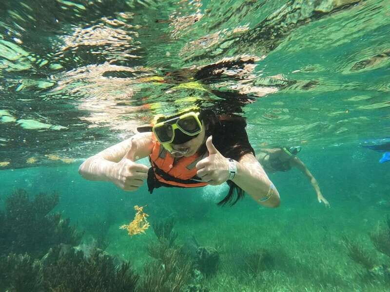 Puerto Morelos: Guided Snorkeling Tour with Gear & Fees - What to Expect from the Puerto Morelos Snorkeling Tour
