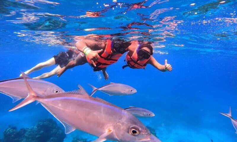 Puerto Morelos: Guided Snorkeling Tour with Gear & Fees - The Guides and Group Size