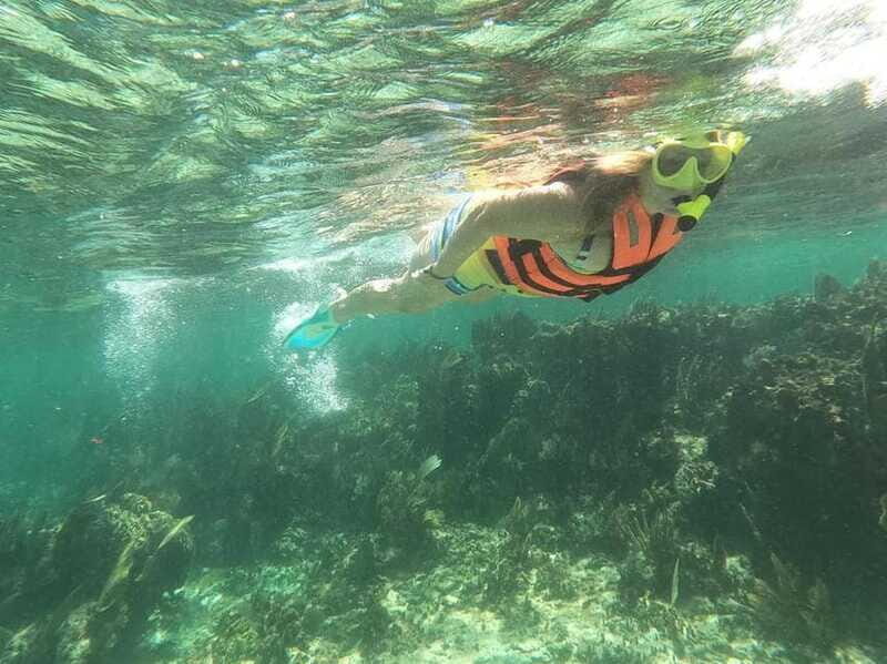Puerto Morelos: Guided Snorkeling Tour with Gear & Fees - Potential Downsides