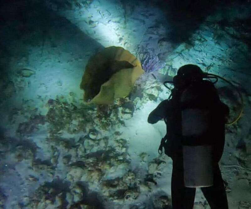 Puerto Morelos: Ojo de Agua Night Dive for Certified Divers - Final Thoughts
