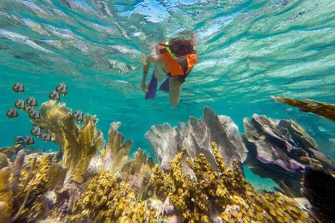Puerto Morelos Reef Snorkeling Tour with Lunch & Hotel Pickup - FAQ