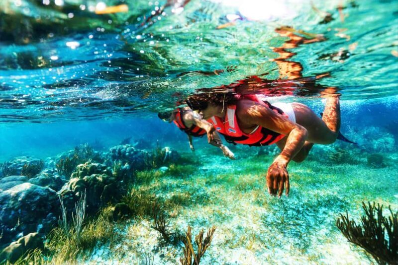 Puerto Morelos: Reef Snorkeling Trip with Beachside Lunch - The Experience and the Reviews