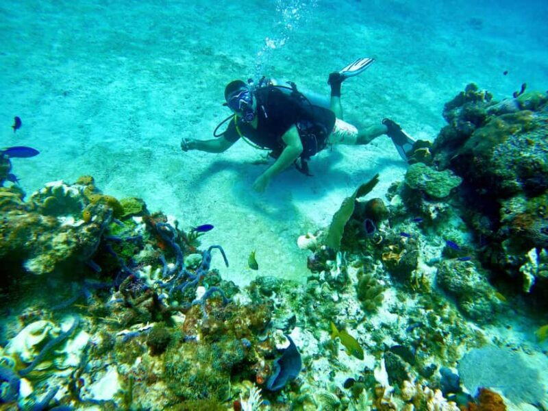 Puerto Morelos: Scuba Experience with Gear & Instructor - What Makes This Tour Stand Out