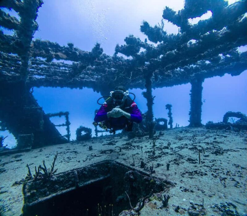 Puerto Morelos: Shipwreck and Reef Diving Tour - What’s the Overall Experience Like?