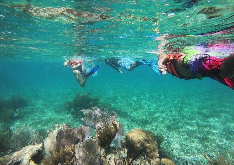 Puerto Morelos: Snorkel in Coral Reef with transportation - Key Points