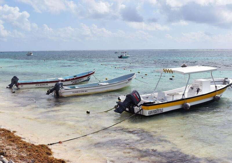 Puerto Morelos: Snorkel in Coral Reef with transportation - Who Should Consider This Tour?