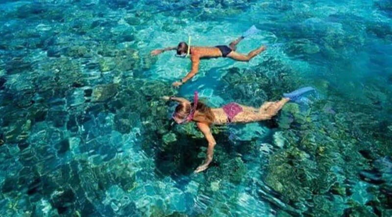 Puerto Morelos: Snorkeling at The National Reef Park - What to Expect from the Puerto Morelos Snorkeling Tour