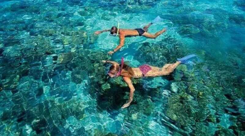 Puerto Morelos: Snorkeling at The National Reef Park - Who Should Consider This Tour