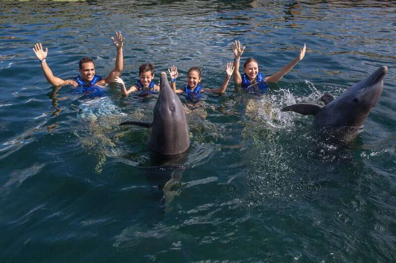 Puerto Morelos: Swim with Dolphins - The Experience in Detail