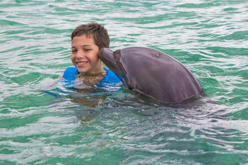 Puerto Morelos: Swim with Dolphins - Important Considerations