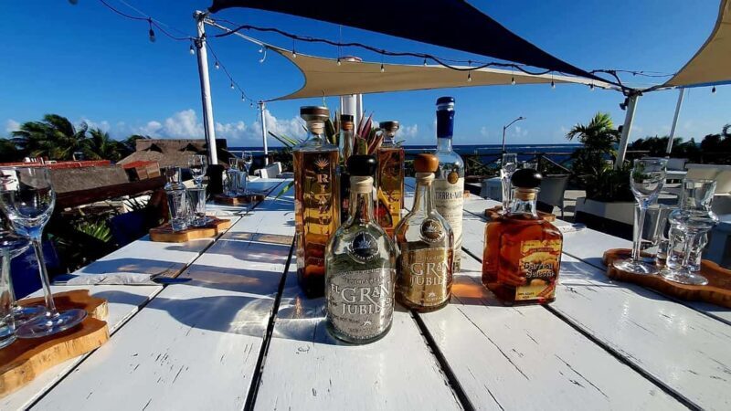 Puerto Morelos: Tequila University Gourmet Experience - The Experience Breakdown