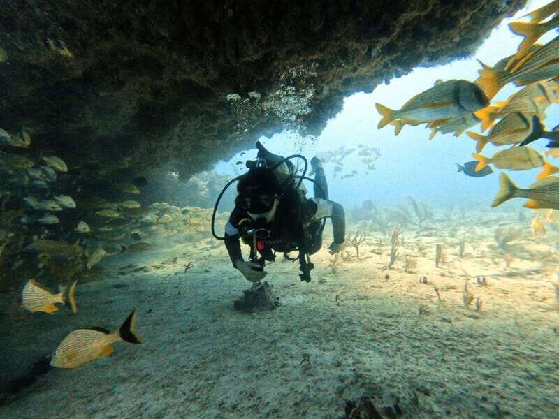 Puerto Morelos: Two Reef Dives for Certified Divers - What Makes This Tour Stand Out