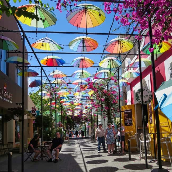 Puerto Plata: Walking Tour with Rum & Chocolate Tastings - Key Points