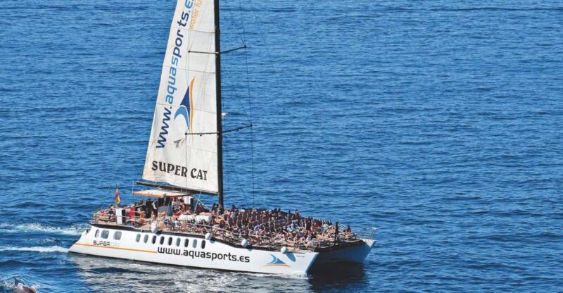 Puerto Rico : 2 hour Dolphin Catamaran Excursion - Key Points