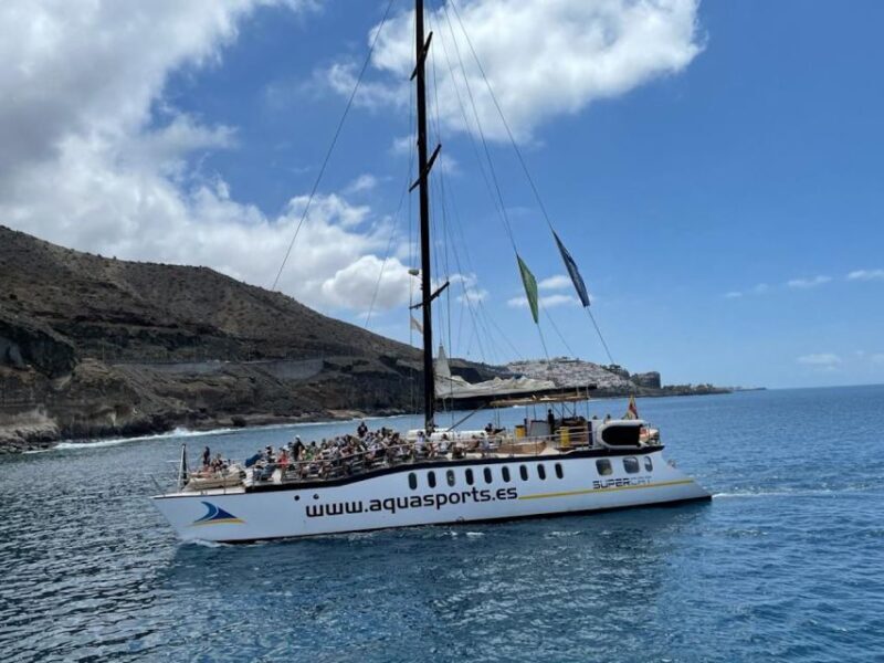 Puerto Rico : 2 hour Dolphin Catamaran Excursion - Who Will Love This Experience?