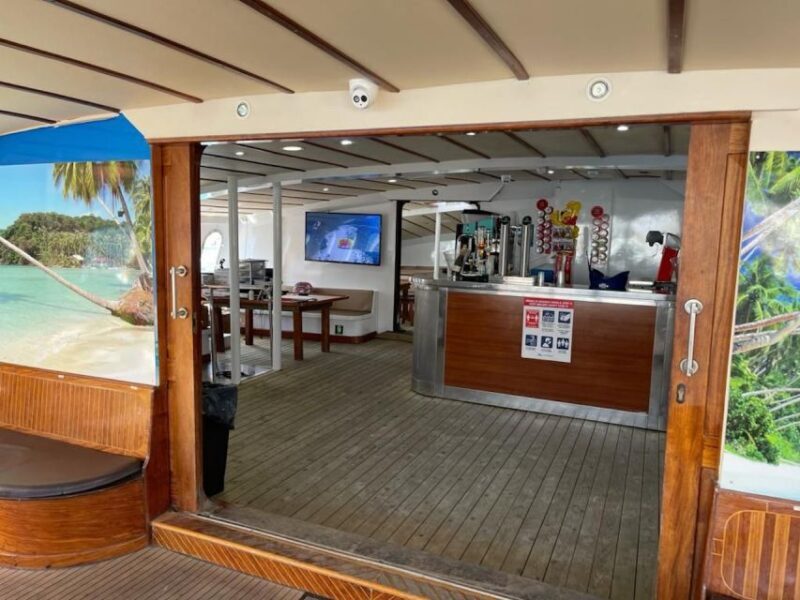 Puerto Rico : 2 hour Dolphin Catamaran Excursion - Final Thoughts