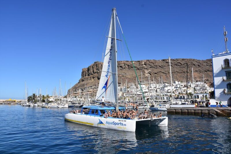 Puerto Rico: 4-Hour Catamaran Excursion in the South - Who is This Tour Best For?