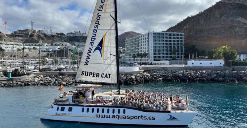 Puerto Rico de Gran Canaria: Premium Dolphin Catamaran Tour - Final Thoughts