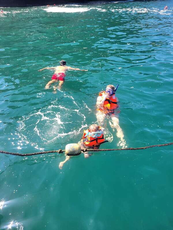 Puerto Vallarta: 3-Hour Whale Watching and Snorkeling - Guides and Experience