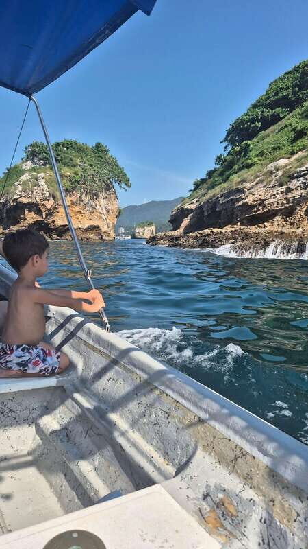 Puerto Vallarta: 3-Hour Whale Watching and Snorkeling - What the Reviews Say