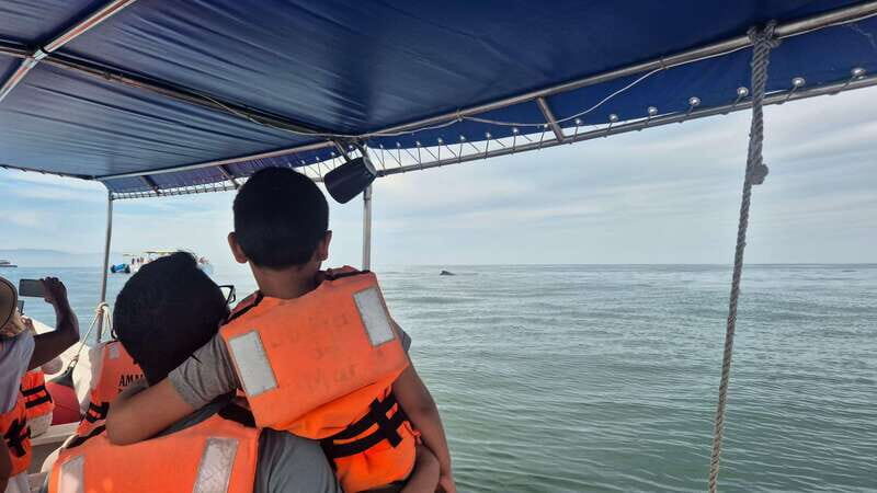 Puerto Vallarta: 3-Hour Whale Watching and Snorkeling - FAQs