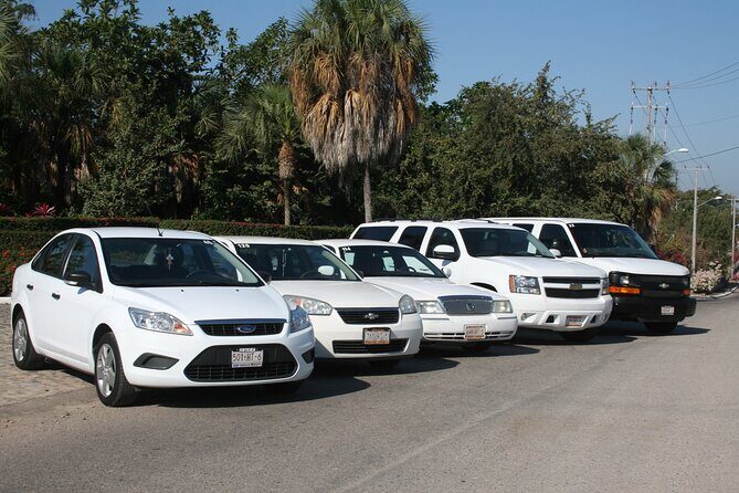 Puerto Vallarta Airport to Hotel Private Transfer by Minivan - Who is this transfer best suited for?