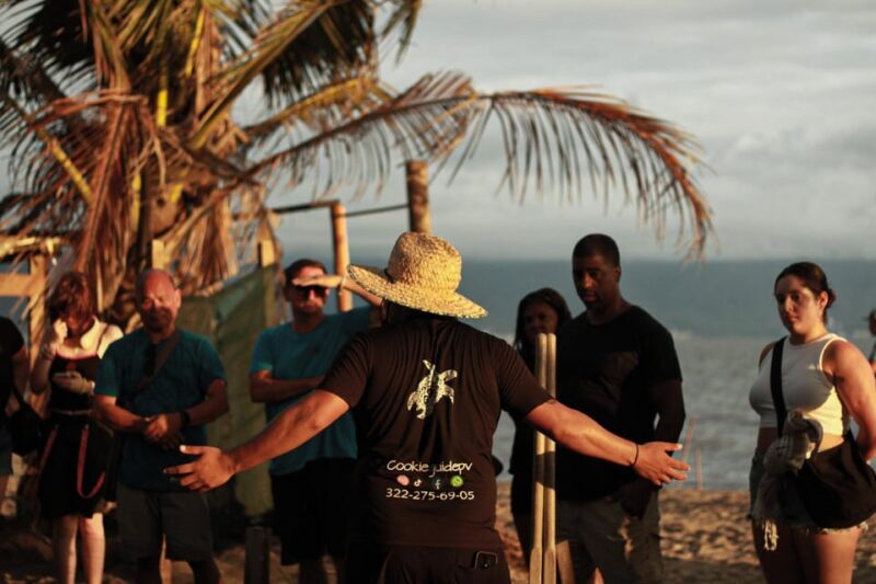 Puerto Vallarta: Baby Turtle Release in Conservation Area - How to Prepare for the Tour