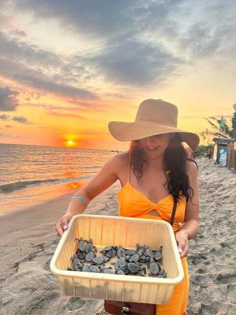 Puerto Vallarta: Baby Turtle Release in Conservation Area - Final Thoughts