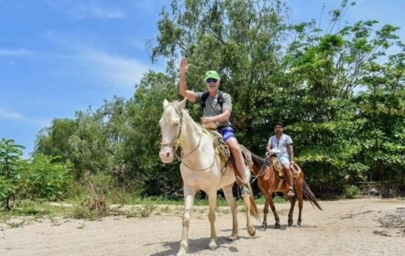 Puerto Vallarta: Beach, Breakfast, Lunch & Open Bar - Who Should Consider This Tour?