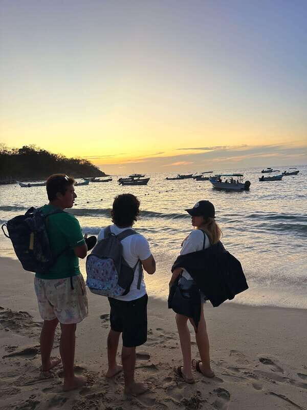 Puerto Vallarta: Bioluminescence in Los Arcos Marine Park - Exploring the Tour in Detail