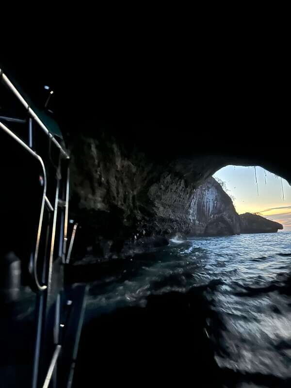 Puerto Vallarta: Bioluminescence in Los Arcos Marine Park - Who Will Love This Tour?