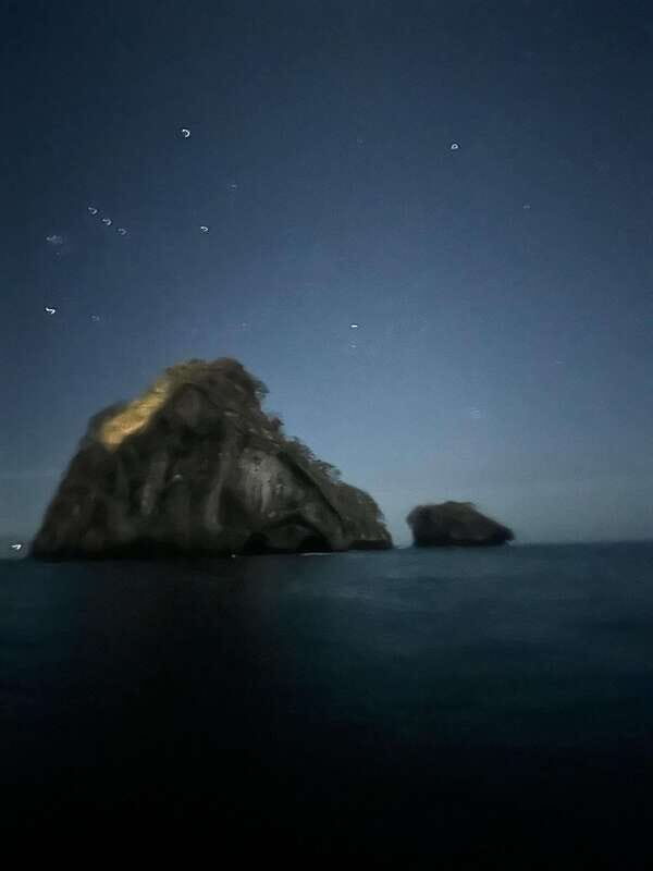 Puerto Vallarta: Bioluminescence in Los Arcos Marine Park - FAQ