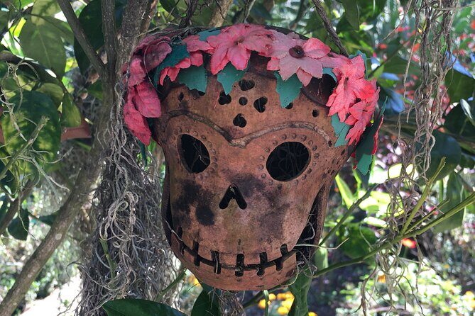 Puerto Vallarta Botanical Garden Tour with University Biologist - Final Thoughts