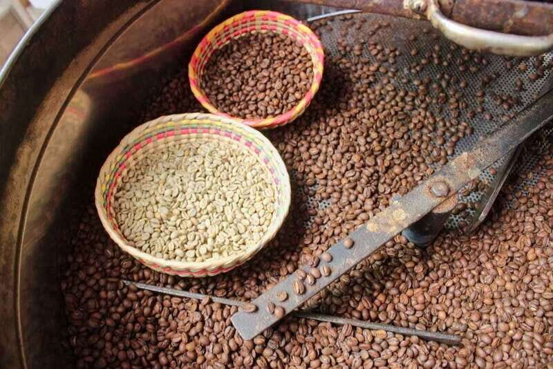 Puerto Vallarta: Botanical Gardens, Distillery & Coffee Tour - An In-Depth Look at the Tour Experience