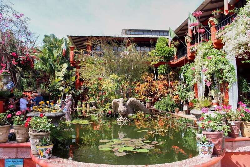 Puerto Vallarta: Botanical Gardens, Distillery & Coffee Tour - Practical Tips for Your Visit