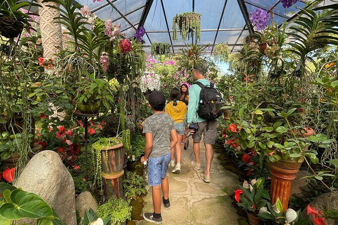 Puerto Vallarta Botanical Gardens Hiking Tour - The Sum Up