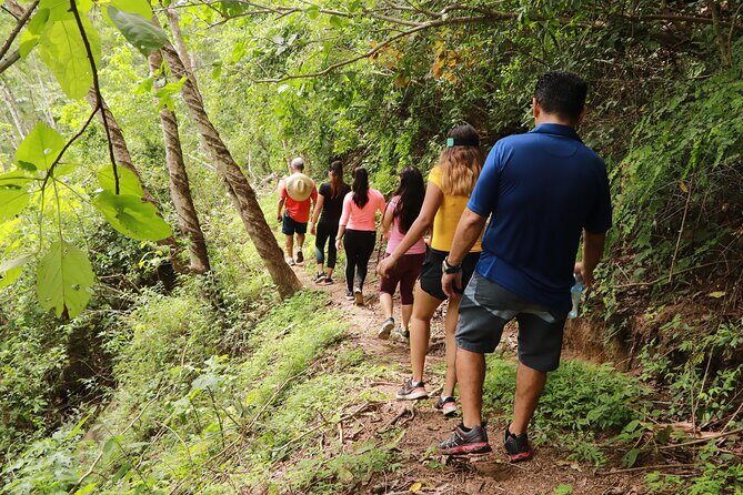 Puerto Vallarta Botanical Gardens Hiking Tour - FAQs
