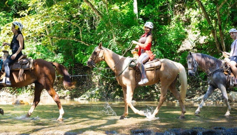 Puerto Vallarta: Canopy River, Mule Ride, Tequila Tour - What Is the Canopy River, Mule Ride, and Tequila Tour?