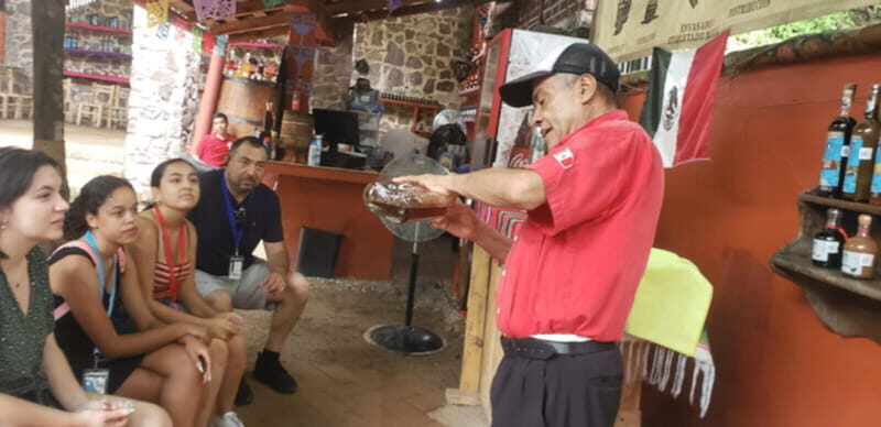 Puerto Vallarta: City Tour - Introduction