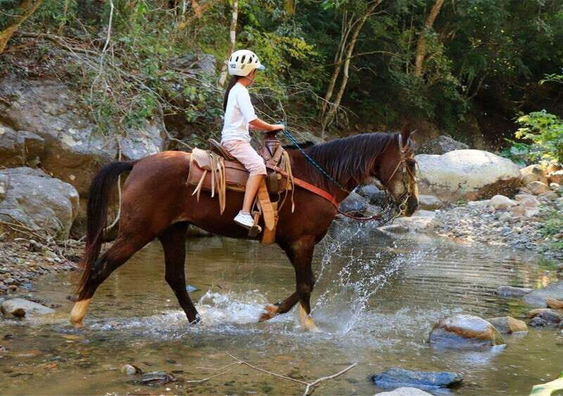 Puerto Vallarta: El Salto Waterfall Horseback Riding - Crossing the Suspension Bridge