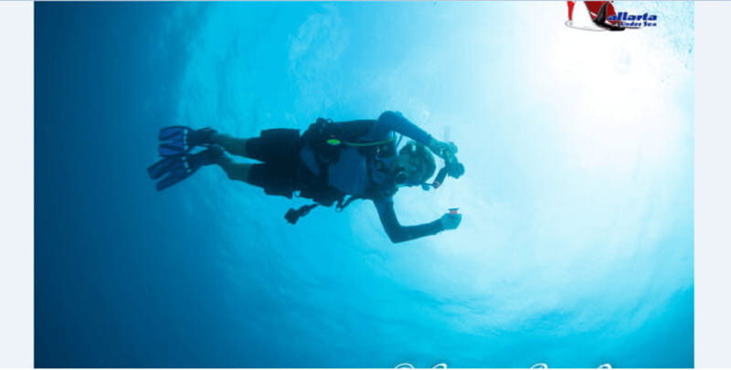 Puerto Vallarta: Exclusive Dive Adventure - Key Points