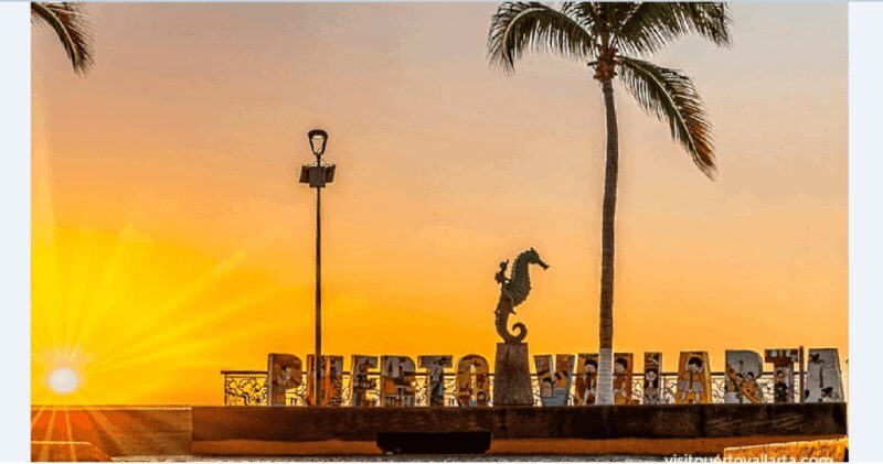 Puerto Vallarta: Exclusive Dive Adventure - Final Thoughts